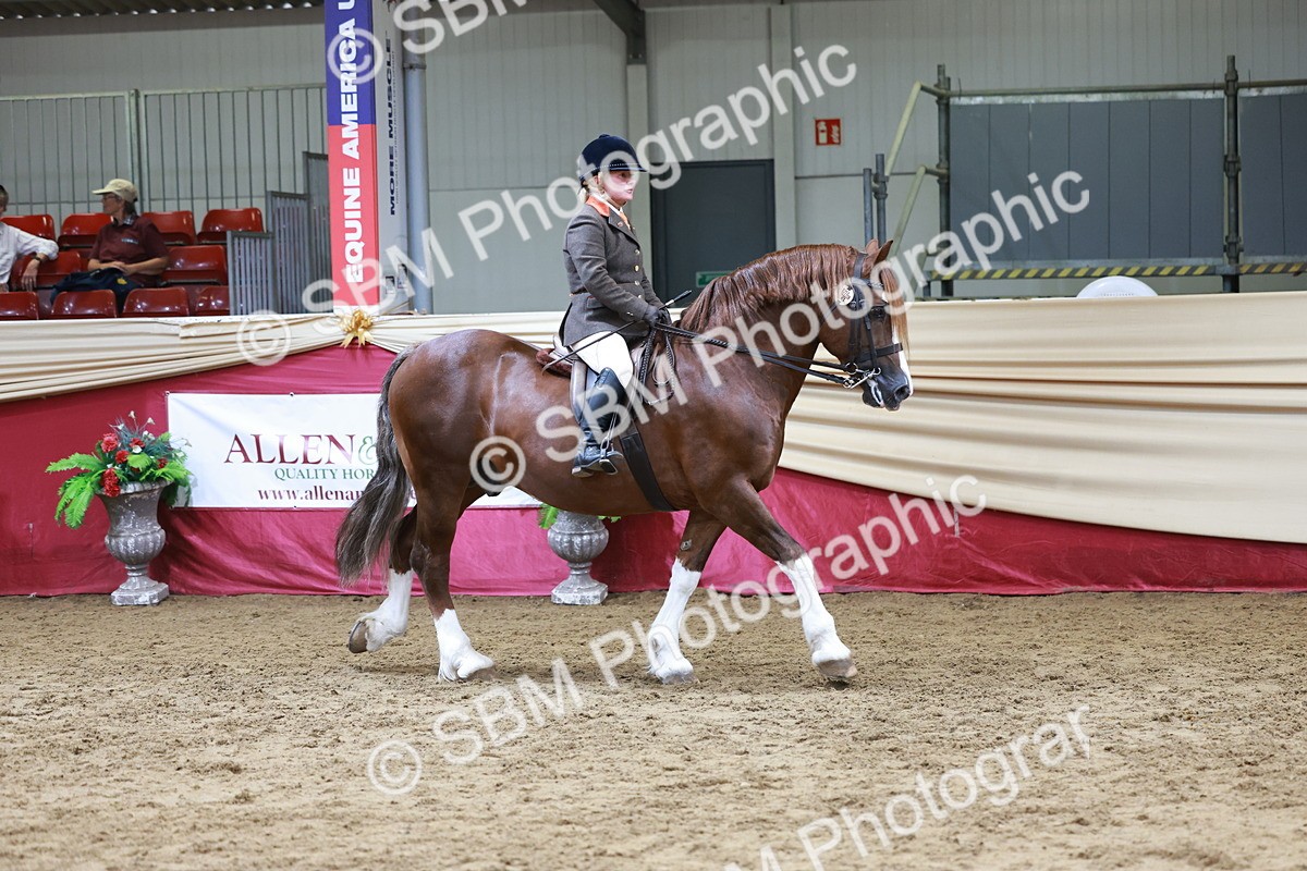 SBM_18681 - Class 952 - M&M Ridden Supreme Final