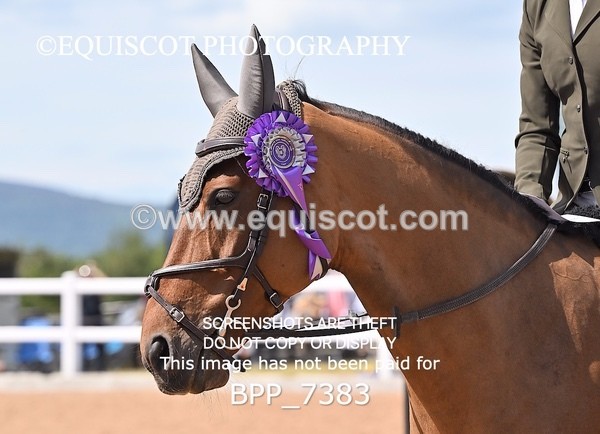 BPP_7383 - CLASS 14 FRI Nupafeeds Senior Dicovery/1m open