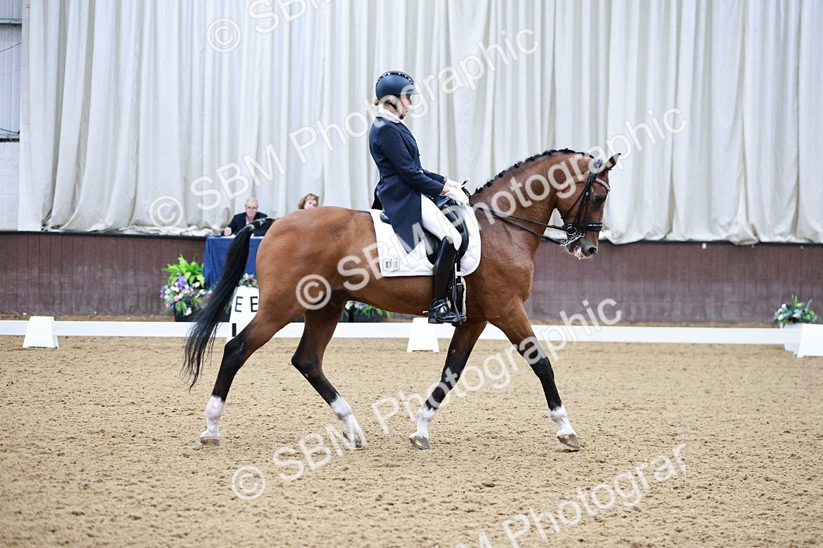 SBM_020641 - Class 13 - FEI INT I - 15.30-16.00