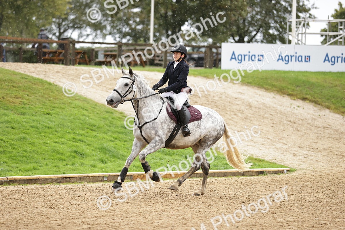SBM_35816 - J38 - Senior Horse & Pony 80cm Championship