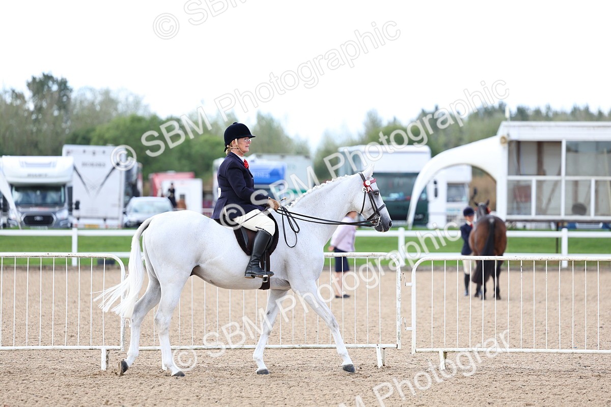 SBM_10026 - Class 304 - Ridden Part Bred Horse Pony