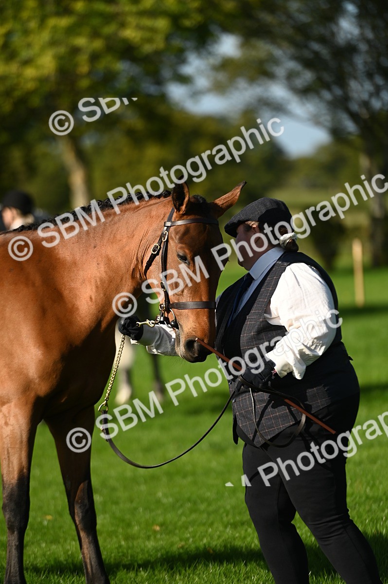 SBM_14779 - S1 - TSR in Hand Horse & Pony Showing