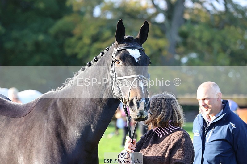 251026A-094454-22453 - D-343-Georgina.Owen