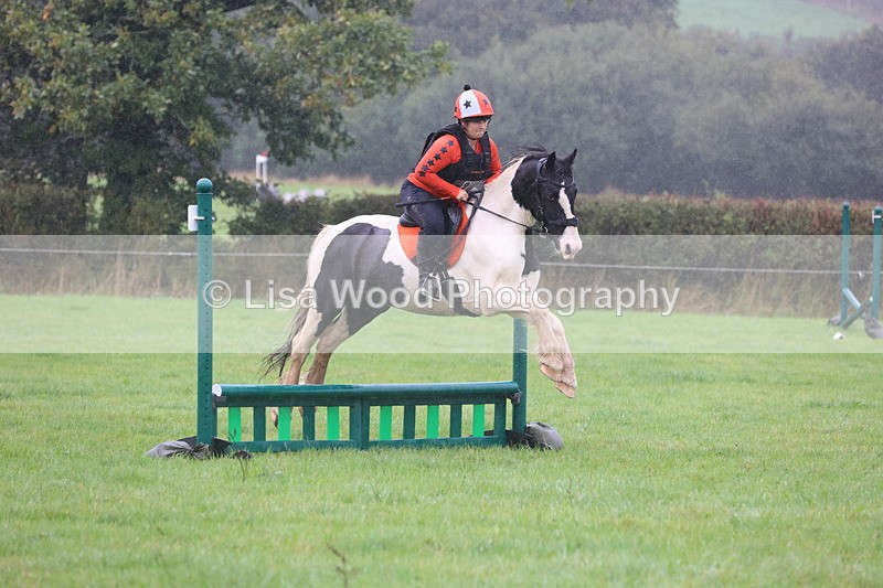 JPP_5133 - Class 1: 65cm : Showjumping