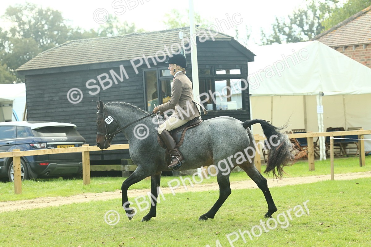 SBM_62617 - S63 - Other Coloured Horse Ridden