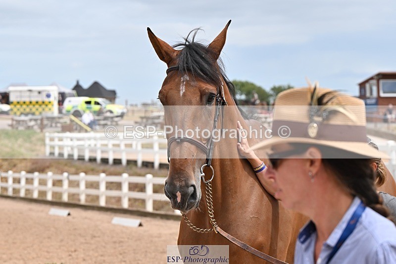 250716-144905-01431 - Trot Up 2.30 to 3.30