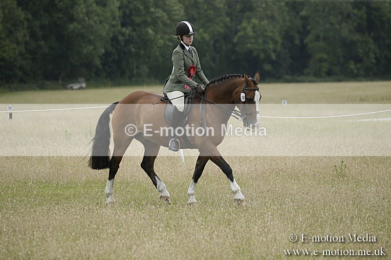 B230619-0929 - Bourne Valley Riding Club Summer Show 23/06/19