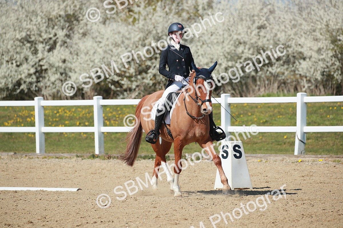 SJ3_1311 - Class 8 - E5