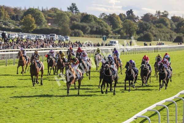 141023-Race 3-Montassib-0400 - Race 3 2.25pm Coral Sprint Trophy Handicap
