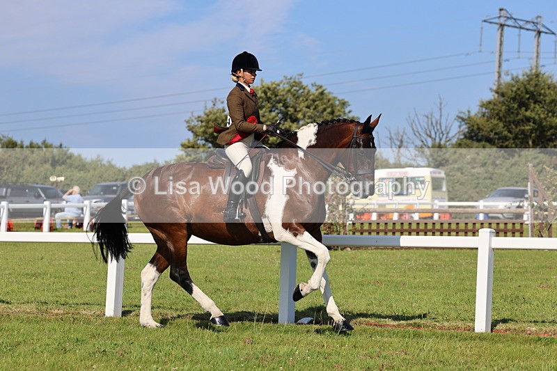 IMG_1625 - Skewbald and Piebald Ridden Championship