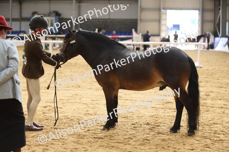 20260913-0652 - Class 126 - Novice Ridden