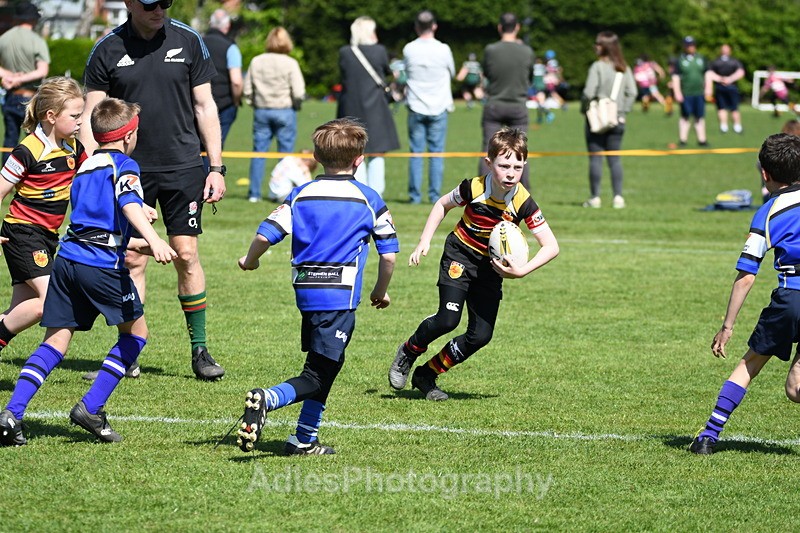 - Selby Rugby Festival 2025