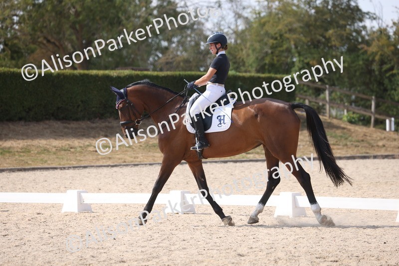 20260815-1099 - Class 6 - Novice 2