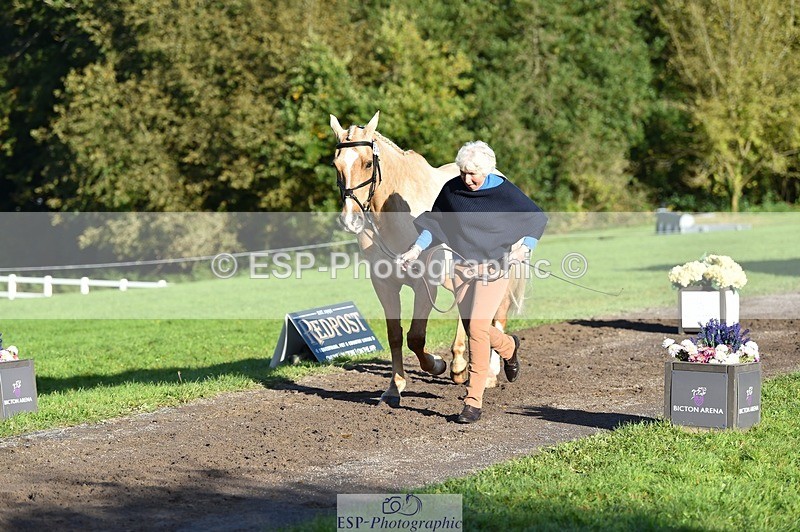 231022-100208-22196 - 612-CORRIEVIEW.MERLIN.MAGIC-Jane.Rogers-TrotUp+SJ