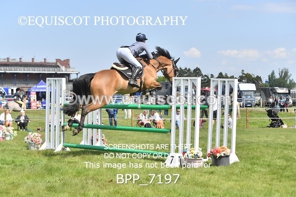 BPP_7197 - CLASS 3 Andrew Hamilton Coach, RHS Foxhunter Championship Qualifier