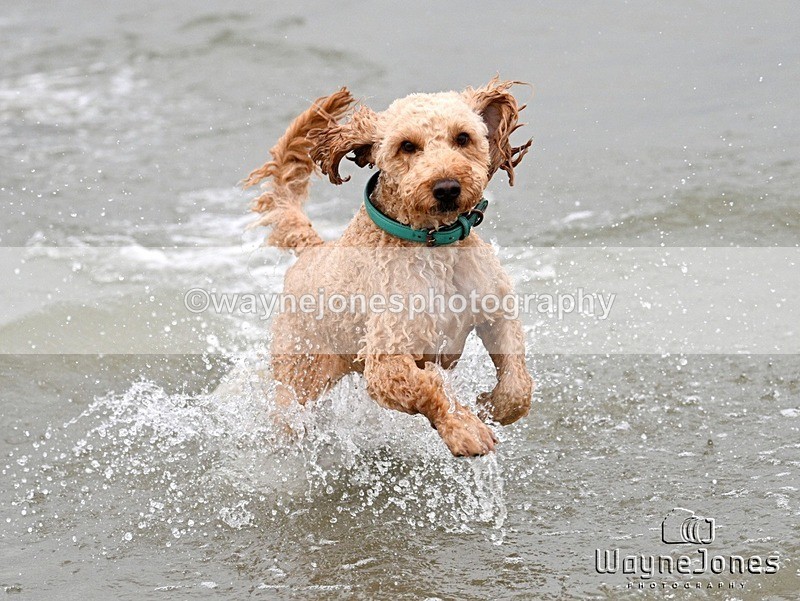 WJ7_9879 - Hayling Island Beach Shoot 22-09-24