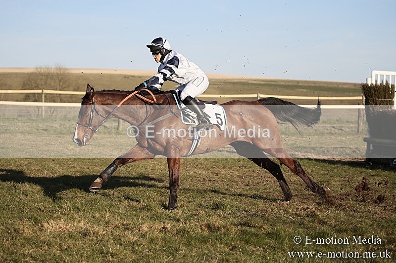 PtP 240218 713 - Vine & Craven Hunt Point-to-Point Barbury racecourse 24/02/18
