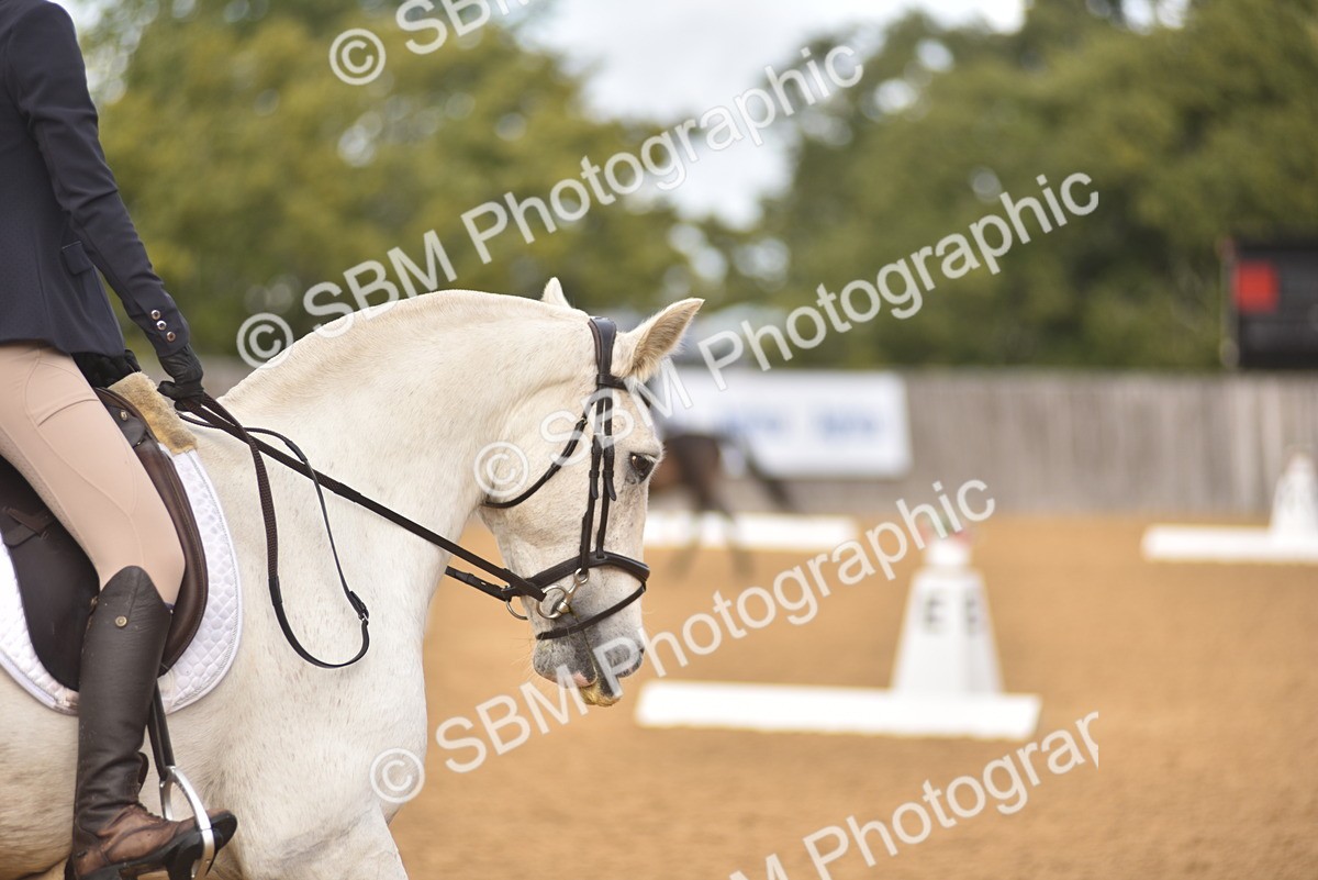 SBM_42329 - D22 - Junior Championship Intro 3
