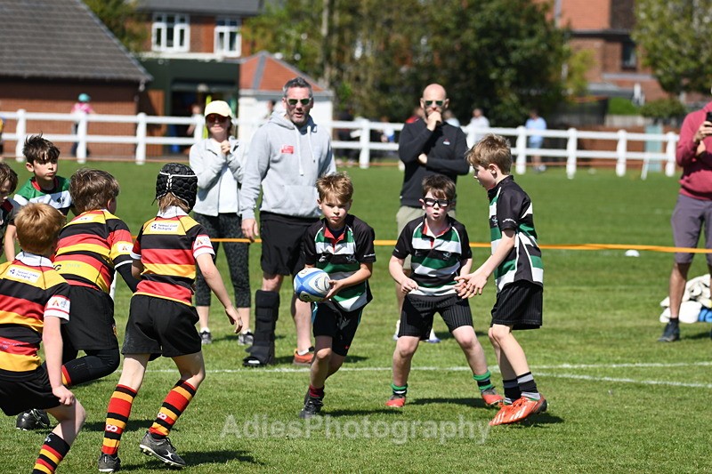 - Selby Rugby Festival 2025