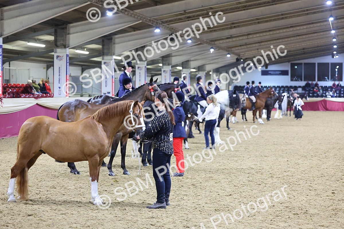 0B8A4820 - Class T Champion of Champions