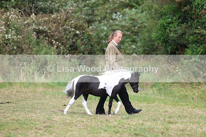 3E7A5340 - Class 19: Best Coloured in Hand