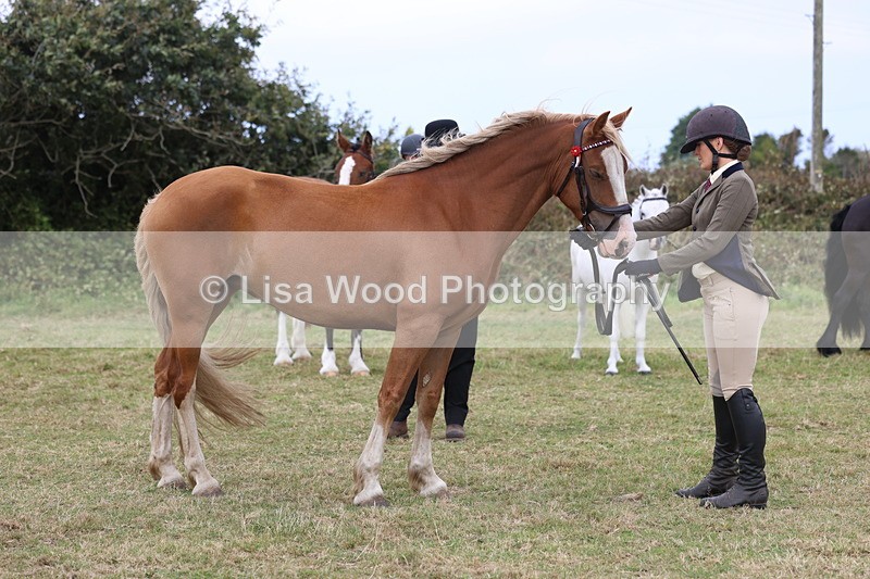 3E7A4681 - Class 16: Best Grass Kept