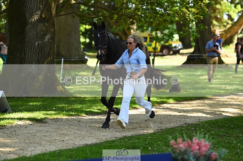 230524-152912-00297 - 351-TRINITY_CAVALIER-Henrietta_Horsley-gubbins-WEDTrotUp+DR