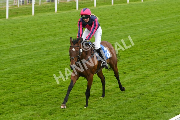 yr11062022r1-148 - Race 1 12.45pm Macmillan Ride of Their Lives, supported by Sky Bet