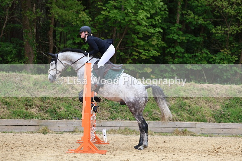 3E7A6405 - Class 4: Senior British Novice/90cm open