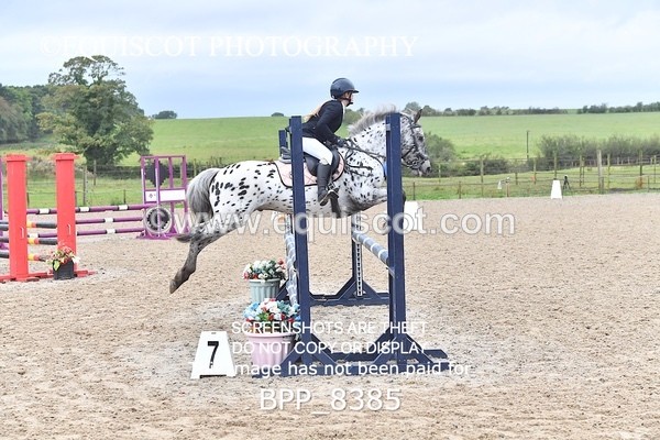 BPP_8385 - CLASS 3 Pony BritiNovice / 0.80m Open