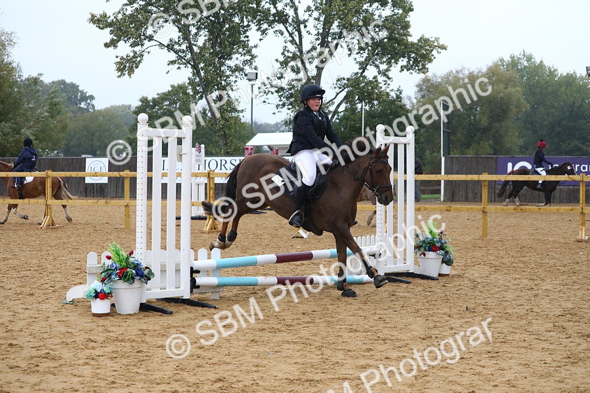 SBM_71474 - J4 - Mini Tour Junior Pony 45cm Championship