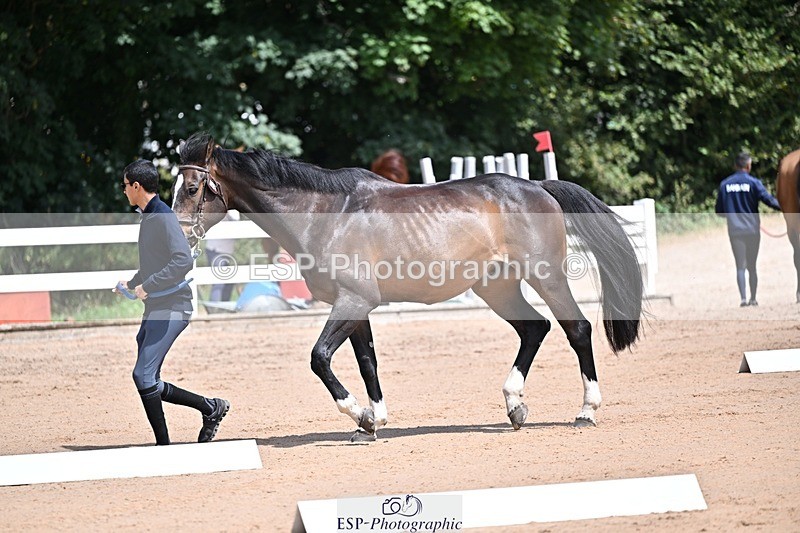 250716-123956-00102 - Trot Up 12.30 to 1.30