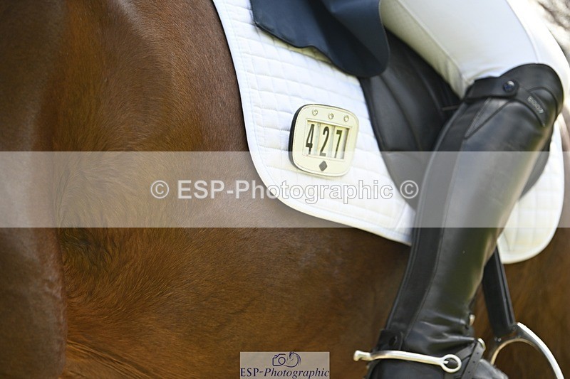 000101-190158-03832 - 427-ICARUS-Isabel_White