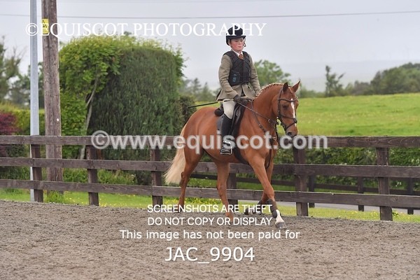 JAC_9904 - CLASS 3 Intermediate Working Hunter (0.70m - 0.85m)