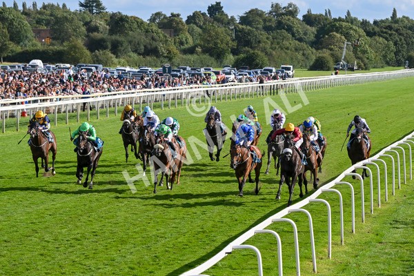240824-Race 6-Tropical Storm-1807 - Race 6 4.45pm Julia Graves Roses Stakes