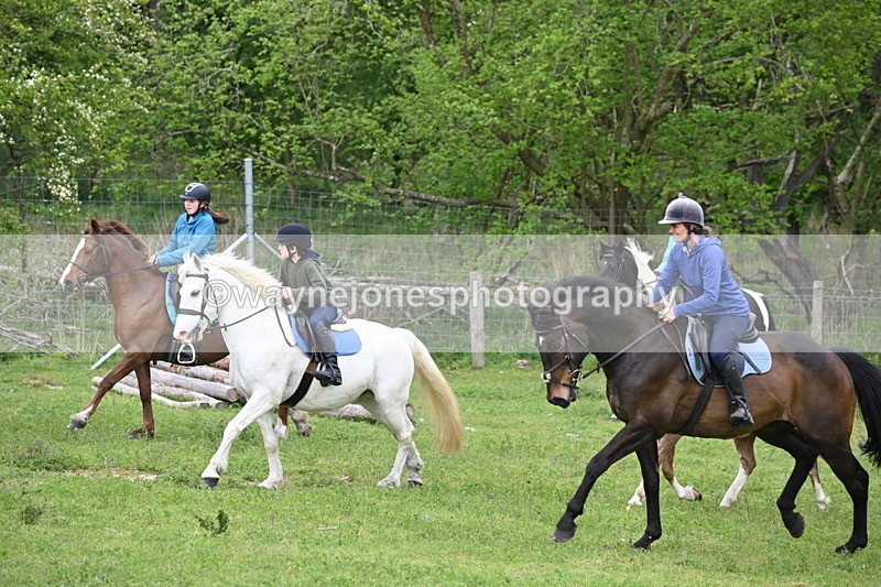 WJ6_3025 - A Camera