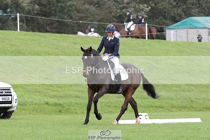 231019-102716-02325 - 603-KILBUNNY.BLUE.BIRD-Claire.Deuten-DR