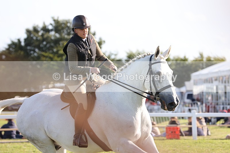 JPP_3340 - Class 22: Working Hunter 90cm