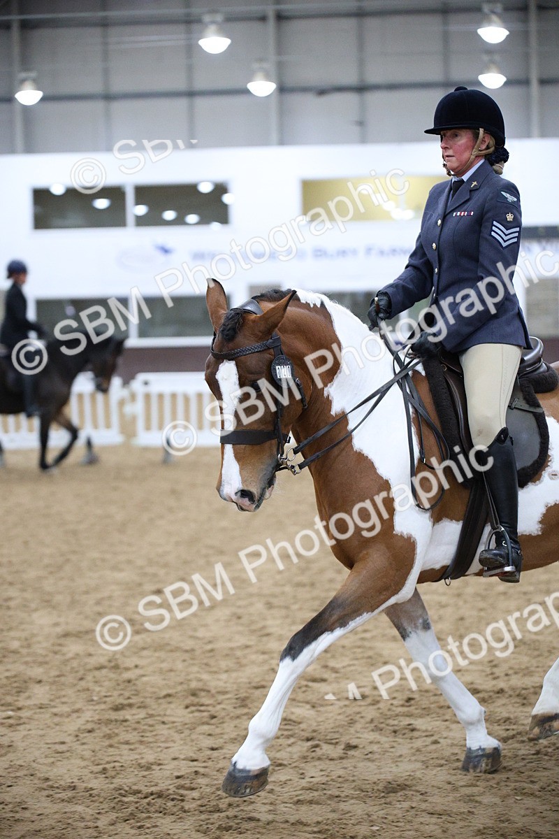 5K7A6079 - Class 48 - Ridden Mare