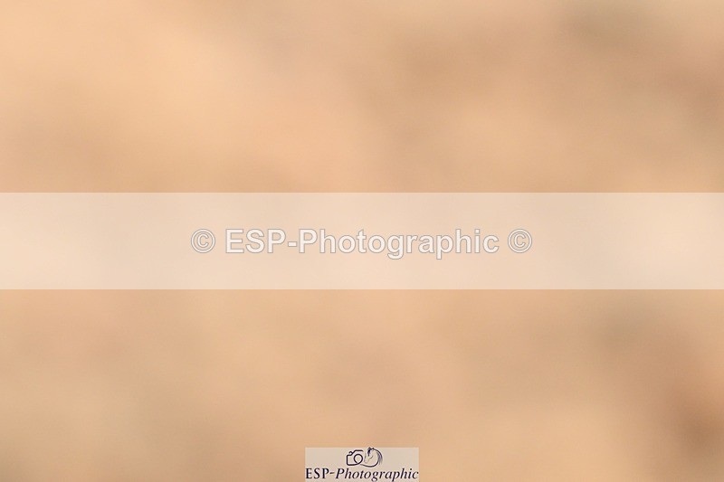 250621-113631-08257 - Cls 26 - Novice 5 Start to 12