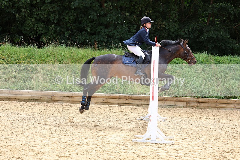 3E7A0147 - Class 9: Senior British Novice/90cm open