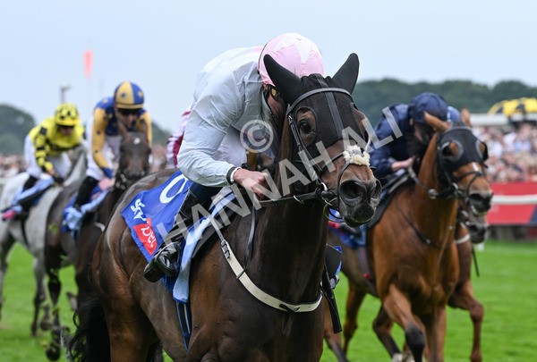230825-131 Ethical Diamond - Race 4 3.35pm Sky Bet Ebor Handicap