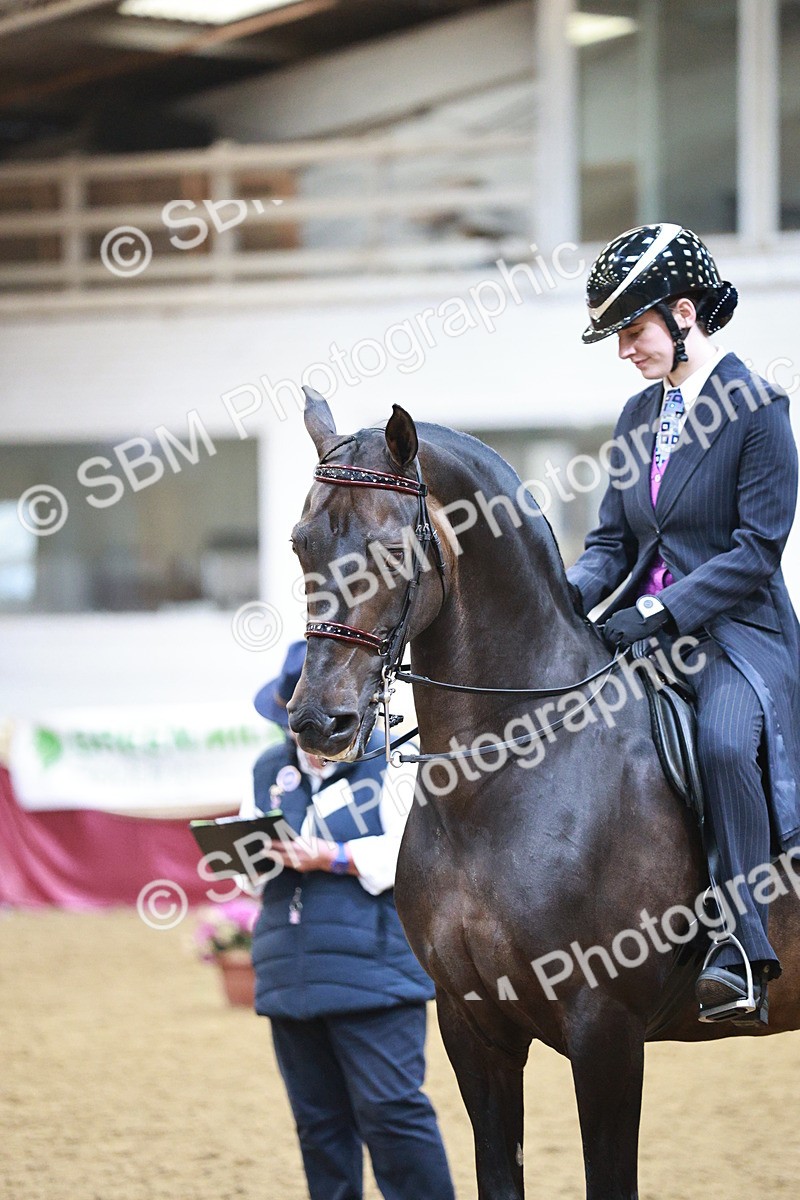 SBM_09073 - Class 12R - Regional Ridden Pre-Vet