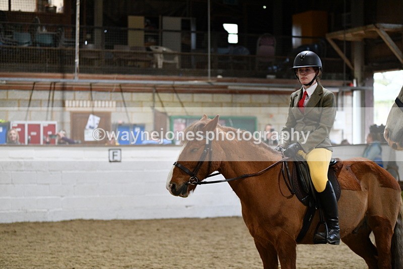 WJ5_8519 - Class 14 Novice Ridden/Rider