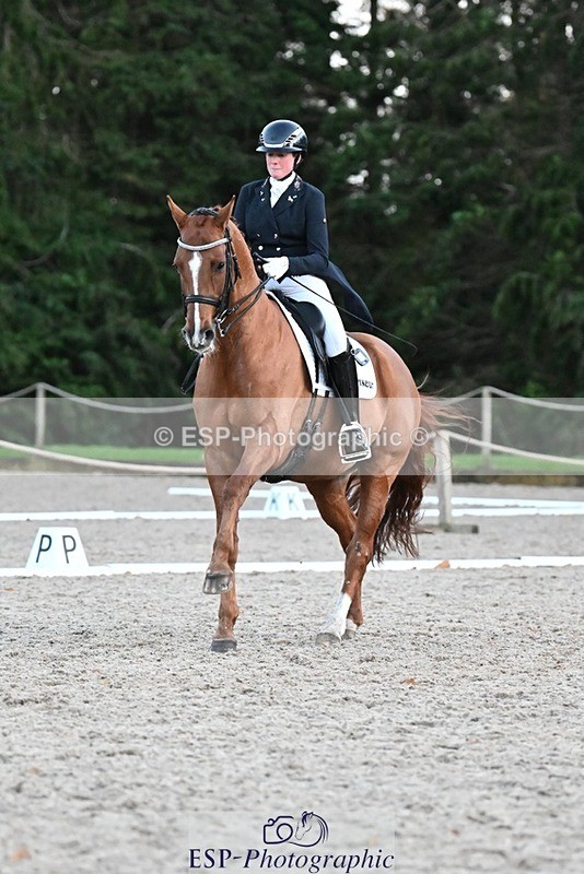 231110-163917-02703 - Cls 14 FEI Grand Prix