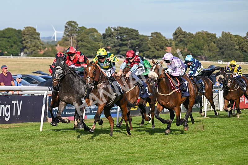 220926-Race 6-Coolree-4725 - Race 6 4.25pm Fango Handicap (Div I)