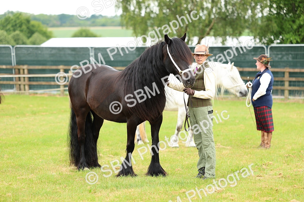 SBM_00551 - Class 58-67 - M&M Non Welsh Pony In hand