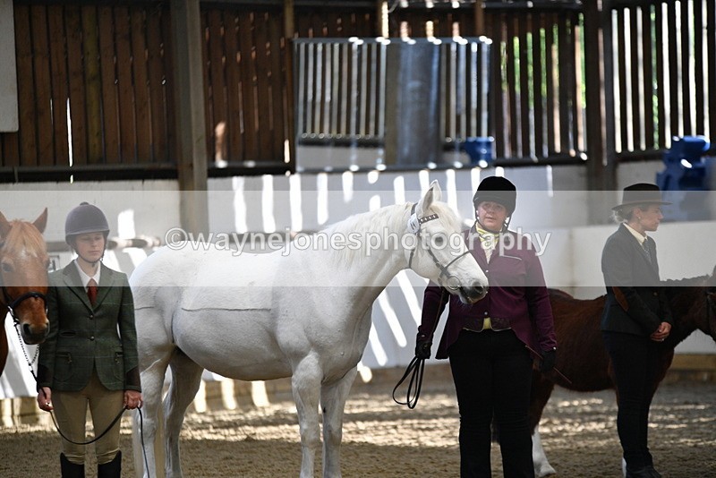 WJ5_3541 - Class 5 In Hand Veterans