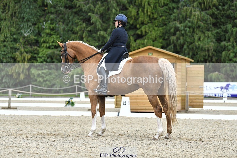 230812-143927-04747 - Cls 7 FEI PSG Bronze