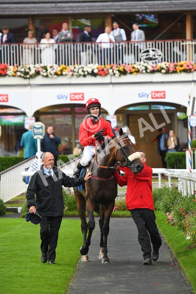 yr21082021r7-20 - Race 7 5.20pm Sky Bet Apprentice Stakes